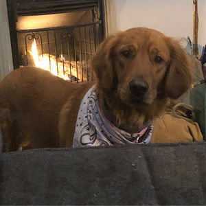 Meet your Posher, Cora